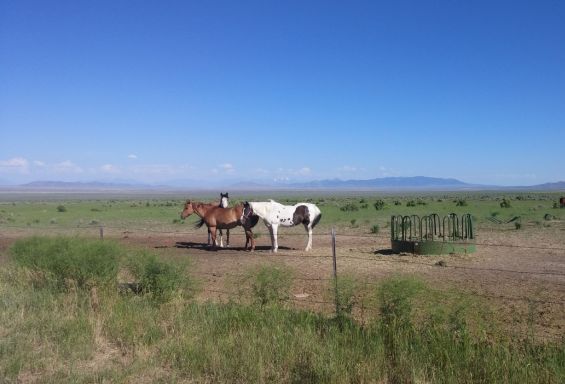 Ranchstay USA