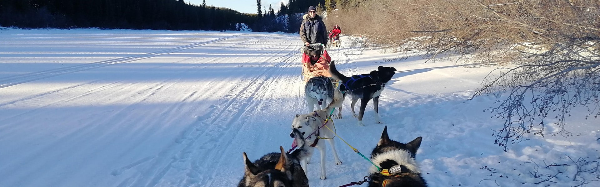 Wildlife Kanada