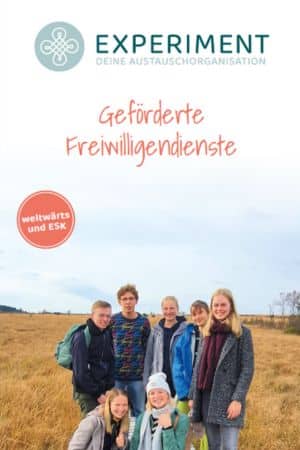 Experiment_Download_Geförderte_Freiwilligendienste