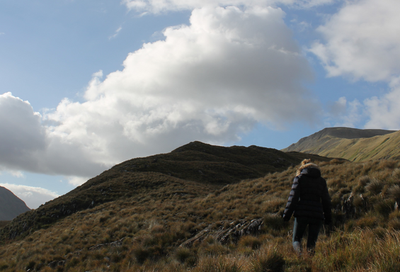 SAW Irland Beitragsbild 3
