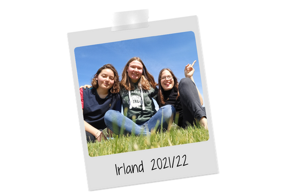 SAW_Webseite_IrlandChoice_Beitragsbild