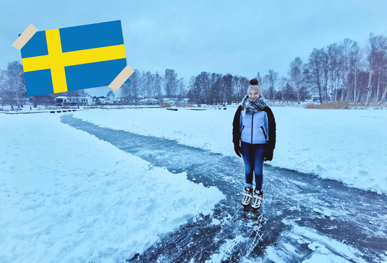 SAW_Webseite_Länderübersicht_Schweden1