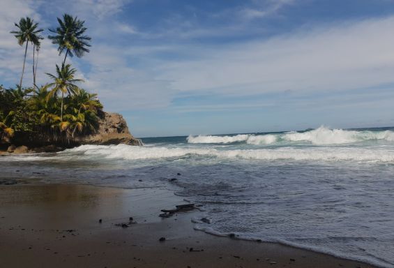 Austausch Costa Rica