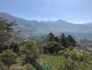Freiwilligendienst in Ecuador