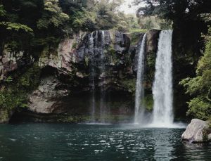 Freiwilligendienst auf Bali