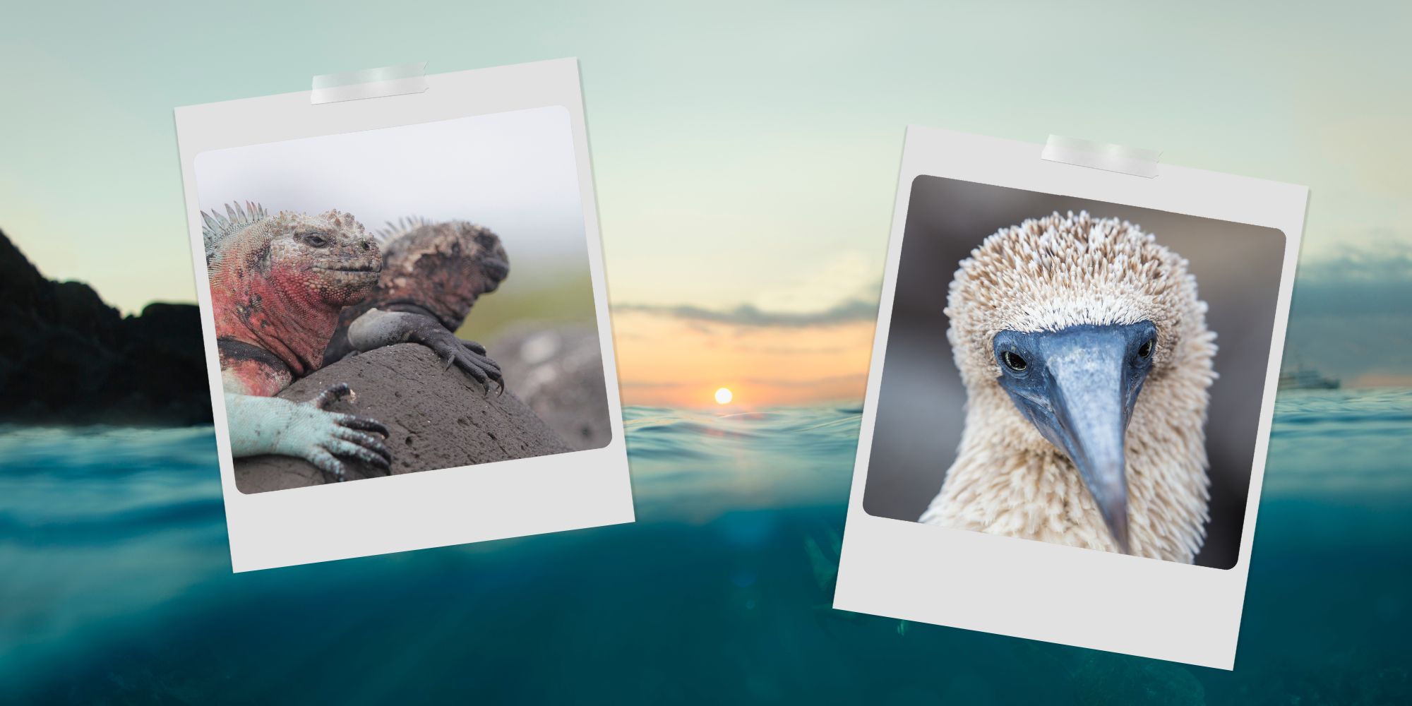 Tipps für die Galapagos-Inseln