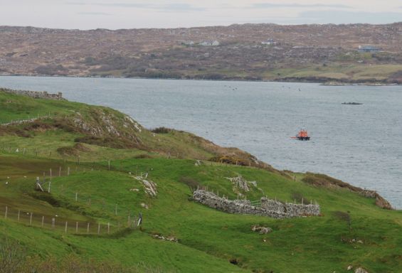Ranchstay Irland Bild 1