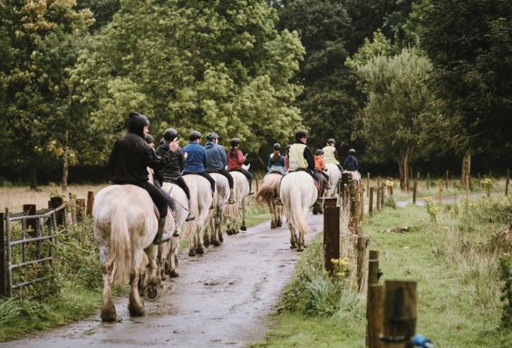 Ranchstay Irland Bild 2