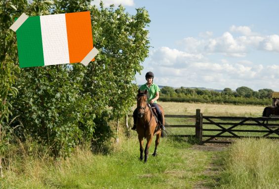 Irland_Ranchstay