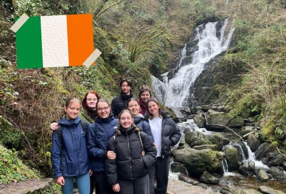 Irland_Sprachprogramm