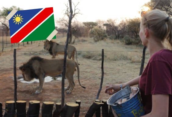 Namibia_Wildlife